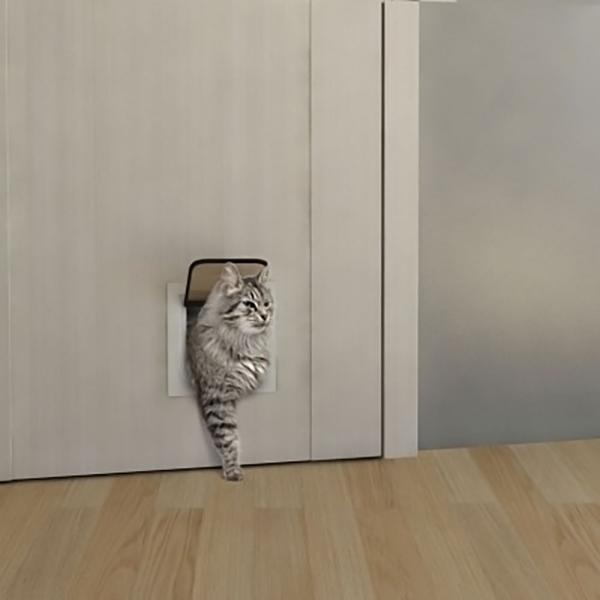 Фото Дверь с кошачьим лазом